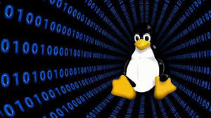 linux penguin in a universe of binary
