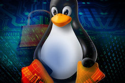 Linux Penguin with lock